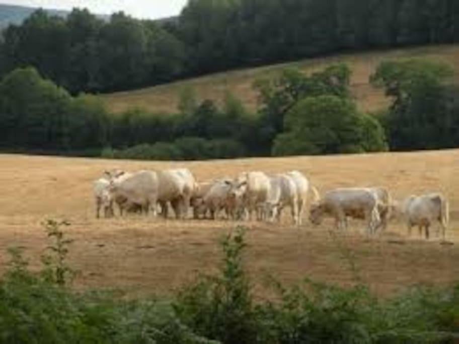Menneville La Ferme Des Pierrettes 빌라 외부 사진