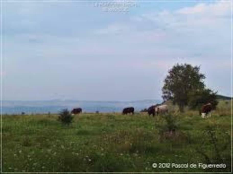 Menneville La Ferme Des Pierrettes 빌라 외부 사진